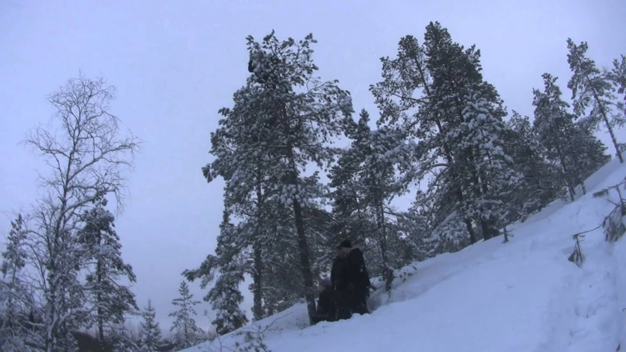 Bild från Swedish Lumberjacking