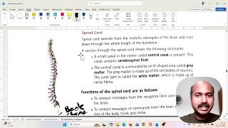 Class VII Biology - Spine or spinal cord?
Common confusions is school biology is clarified in this short video Class VII Biology - Spine or spinal cord?