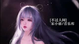 tiktok mashup 2022 不过人间-童声版（宋小睿）