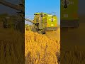 Ref:QMuKoik8aNo Combine harvester #combinesong kartar combine combine machine vishal combine