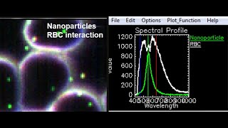 Nano-Bio Interaction Research Using CytoViva’s Hyperspectral Microscope