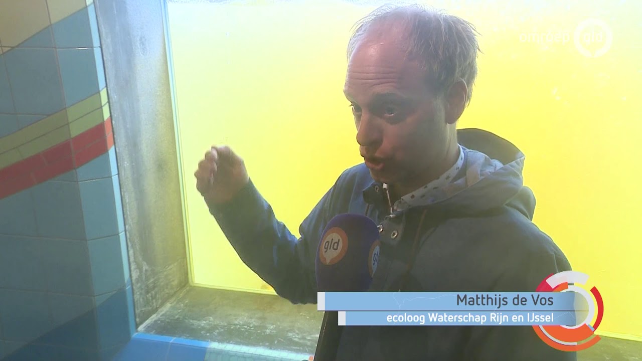 Nieuwe vispassage in Doesburg redt vissoorten