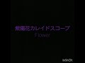 【歌ってみた】紫陽花カレイドスコープ/Flower