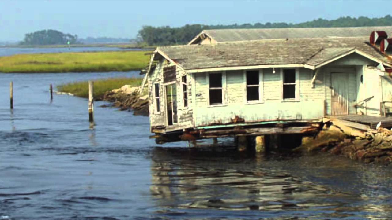 Dalton Commercial YouTube