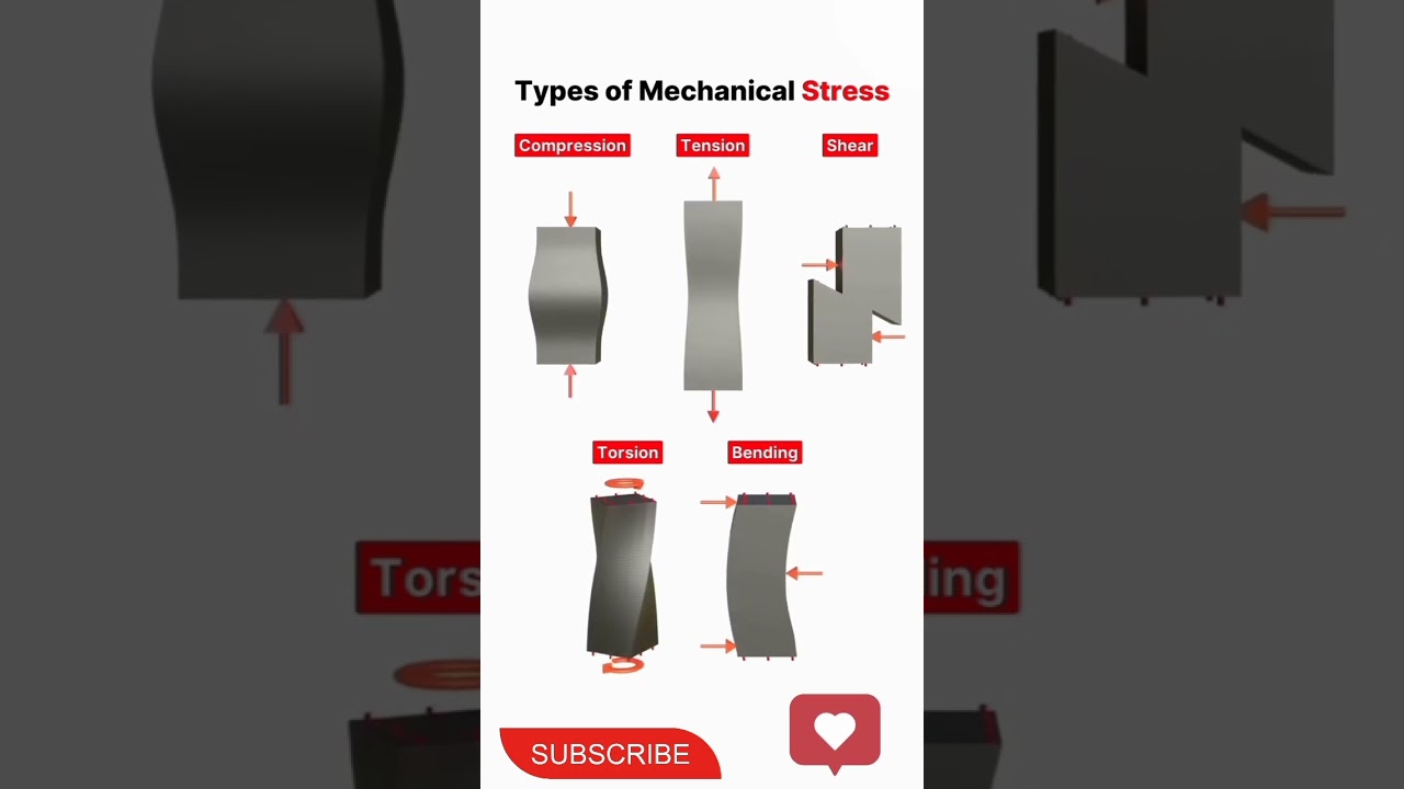 stress and type of stress 