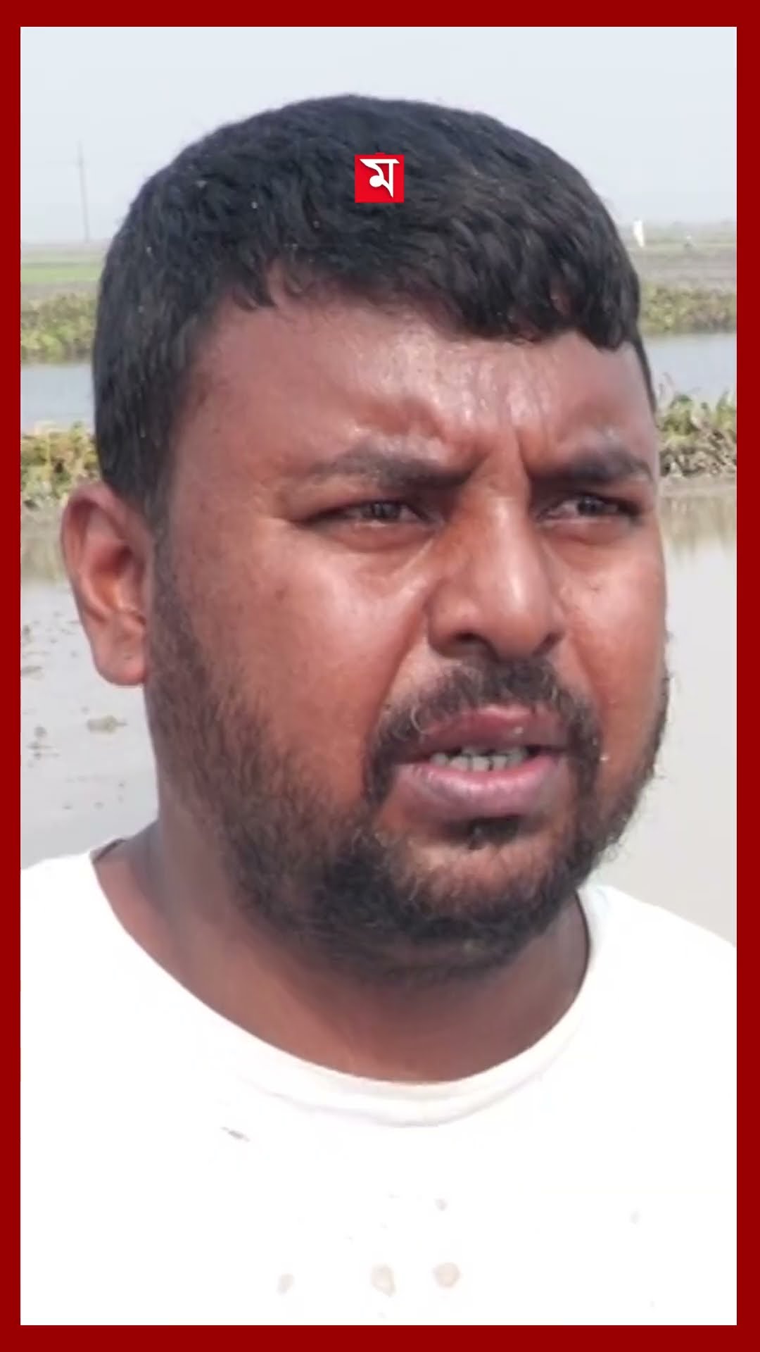 নওগাঁয় বোরো মৌসুমের শুরুতেই সার কিনতে নাজেহাল চাষি #fertilizerprice #syndicate #farmers #shorts