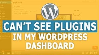 Why Can't I See Plugins in my WordPress Dashboard