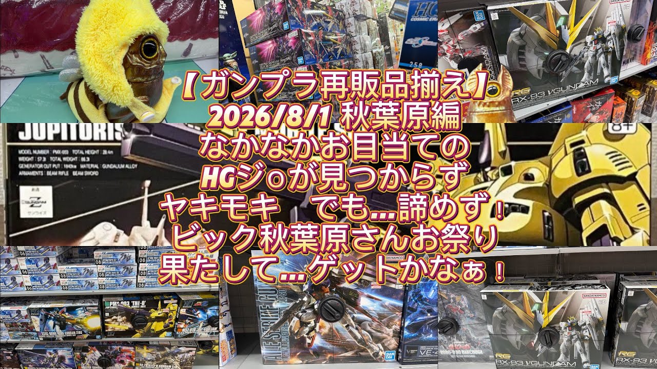 Gunpla Restock Lineup] 8/1/2026 Akihabara Edition: Frustrated