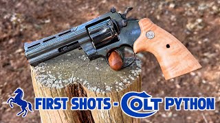 First Shots - The New Colt Python 