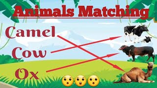Animals Matching Game For Kids | Matching Camel cow Ox screenshot 3