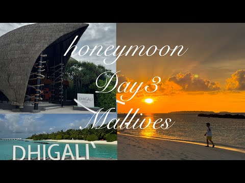 💗신혼여행💗몰디브🇲🇻🍸🦈🌅🌌ep.3(디갈리리조트/에미레이트수하물지연/할리바/아기상어/바투타)