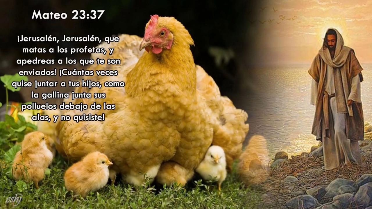 Mateo 23 - YouTube