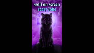 Wild Grey Wolf attack in phone scary joke Wild Grey Wolf attack in phone scary joke