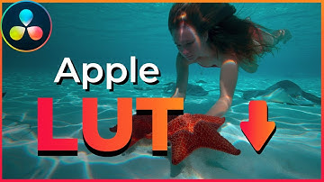 Cómo usar Apple LOG en Resolve con LUT gratis (Guía)