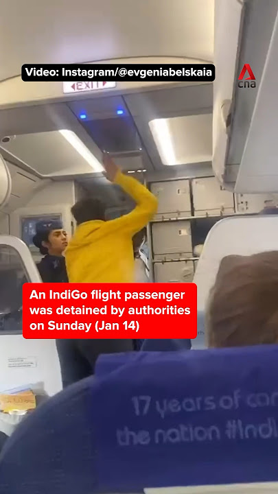 IndiGo passenger detained for attacking pilot over flight delay