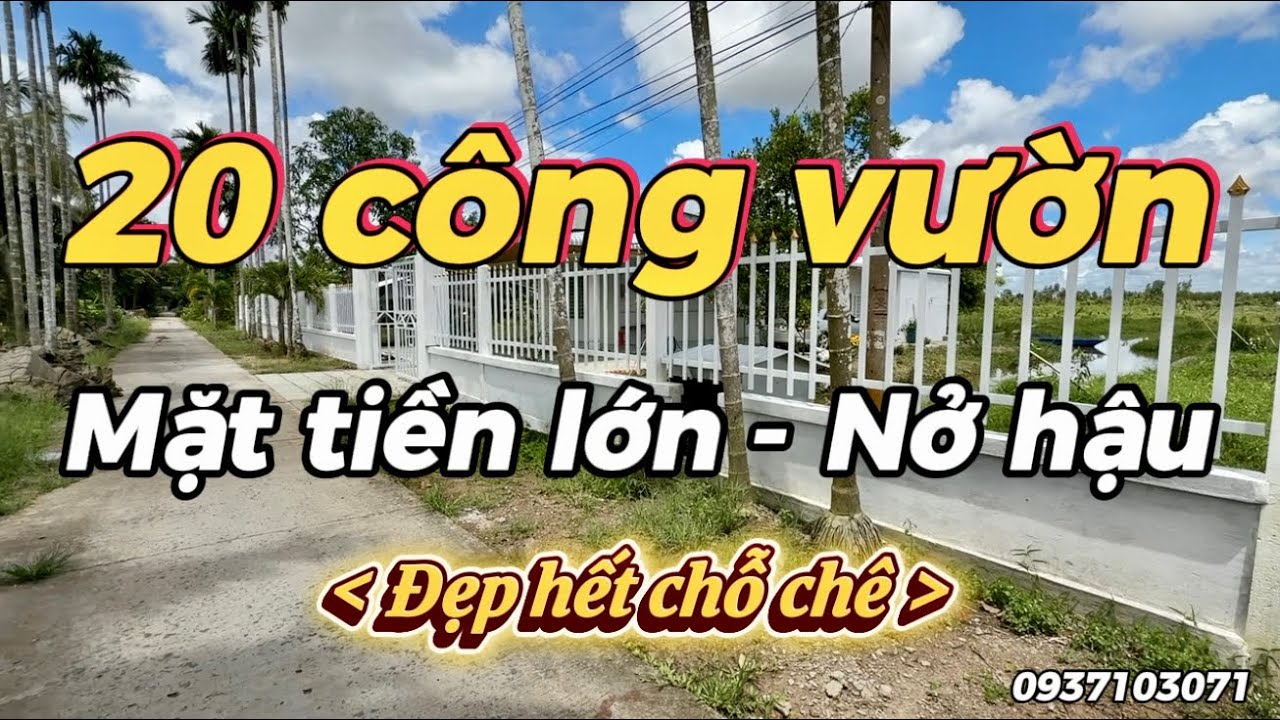 Cần Thơ | Bán gần 20 công đất bờ líp cao rộng , có sẵn nhà đẹp, cây ăn trái trồng hết đất
