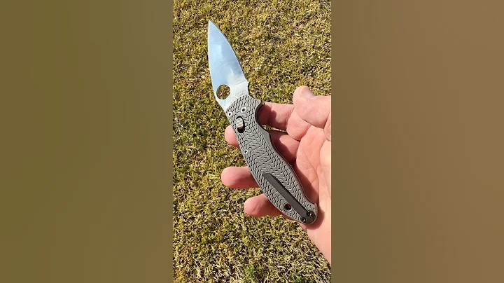 Kershaw, (my dog) don’t be jelly of my Spyderco S110V Manix 2 knife in Ti Rockscale Design scales!