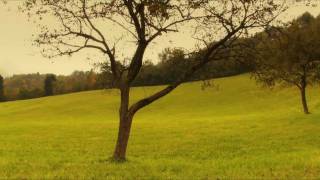 Dolly test 2 (KUD Cerkno, 2010, www.kudcerkno.si)