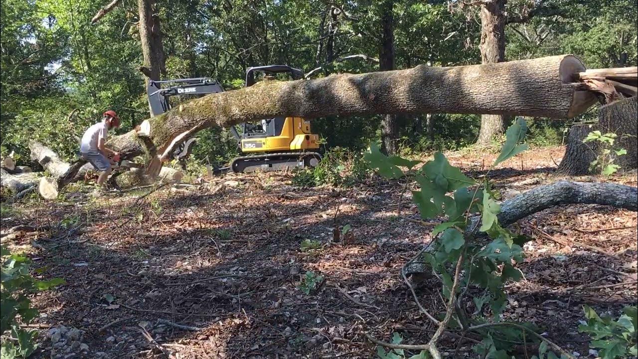 Cutting Down Oak Trees Stihl MS271 Chainsaw YouTube