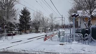 RENFE || 446 por el Espinar con Nieve