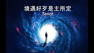 境遇好歹是主所定346 tenor