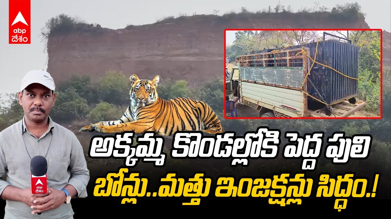 Tiger fear at Divan Cheruvu | రాజమండ్రి పరిసర కొండ ప్రాంతాల్లోకి వెళ్లిన పెద్దపులి | ABP Desam