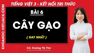 Giải bài 6 Cây gạo | Giải tiếng việt 3 tập 2 kết nối tri thức – Tech12h