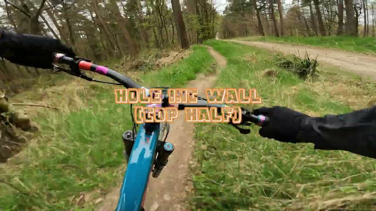 Dalby Forest off piste MTB