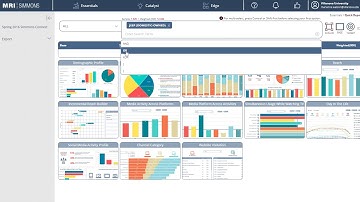 Simmons Insights Quick Report