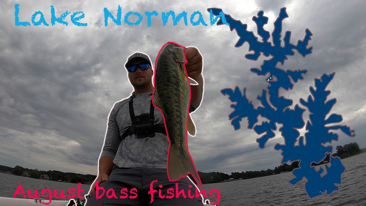 Top Water Fishing Lake NORMAN! (In August) YouTube