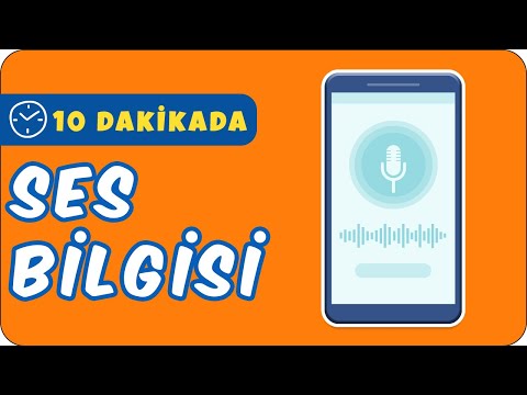 10dkda SES BİLGİSİ