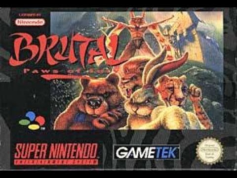 Brutal Paws Of Fury (SNES) - Kung Fu Bunny Playthrough