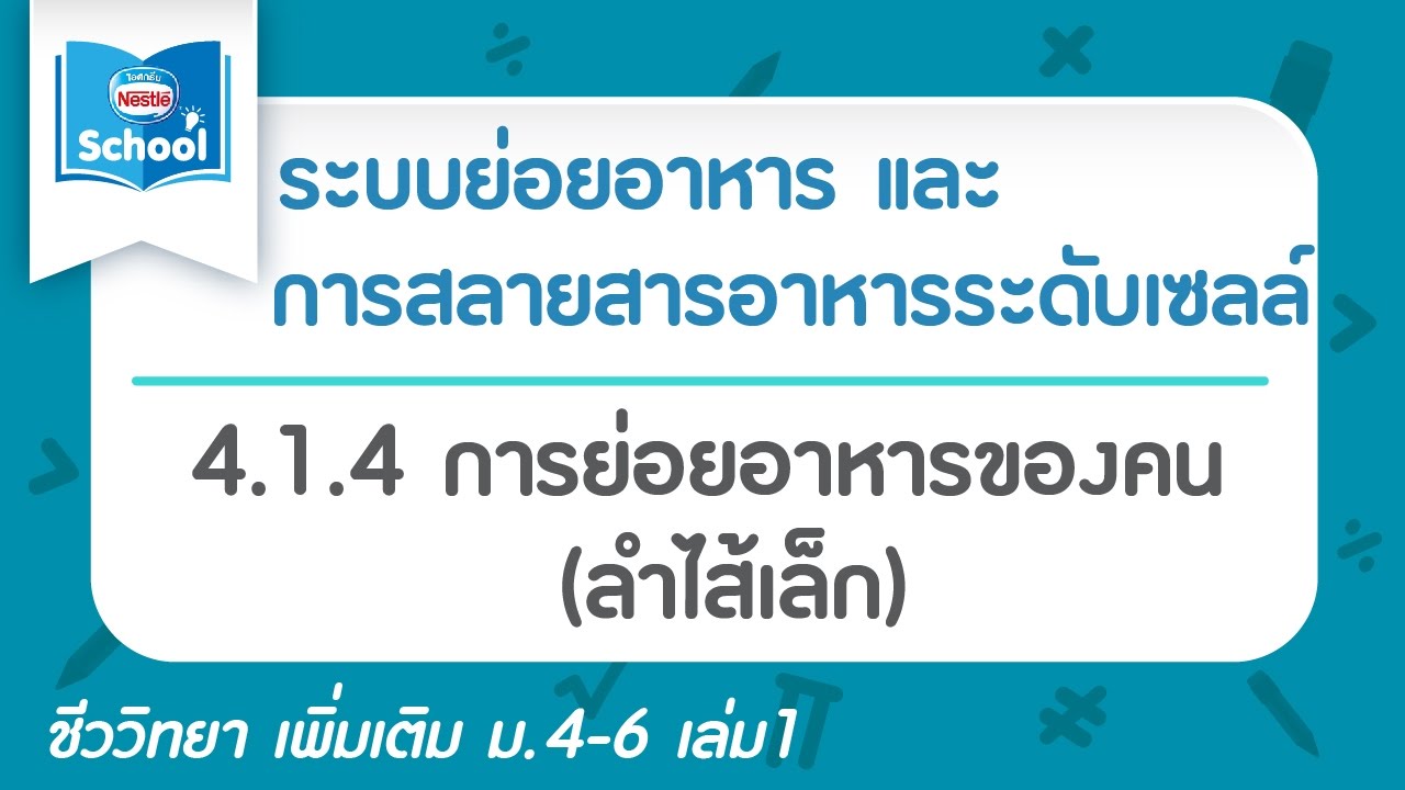 4.1.4 การย่อยอาหารของคน (ลำไส้เล็ก) | ข้อมูลที่อัปเดตใหม่เกี่ยวกับอวัยวะ ที่ เป็น ทาง เดิน อาหาร