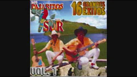 Los Pajaritos Del Sur - Corrido De Mauro Lorenzo.wmv