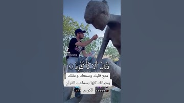 رسائل من القرآن الكريم... تلاوات من القرآن