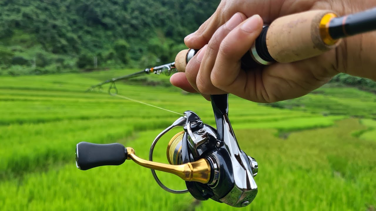 Cần Lure Suối Daiwa Presso 564ULFS [Unbox]