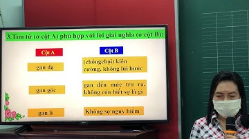 Luyện từ và câu -Lớp 4 -Tuần 25 - Mở rộng vốn từ: Dũng cảm