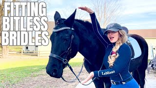 Understanding Bitless BridlesConnect With Your Horse On Another Level!