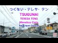 TSUGUNAI TERESA TENG つぐない テレサ テン LYRICS LIRIK TERJEMAHAN INDONESIA SUASANA KOTA JEPANG 