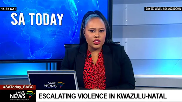 In conversation with Violence Monitor, Mary de Haas on KZN violence