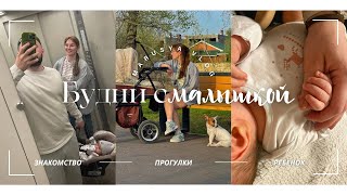 VLOG // Будни молодой мамы // Массаж грудничку // Фитнес