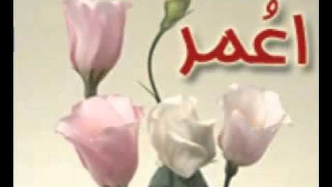 سورة البقره الجزء الاول-ناصر القطامي