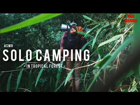 キャンプ SHORT SOLO CAMPING IN TROPICAL FOREST• HIKING - CAMPING - BUSHCRAFT - ASMR