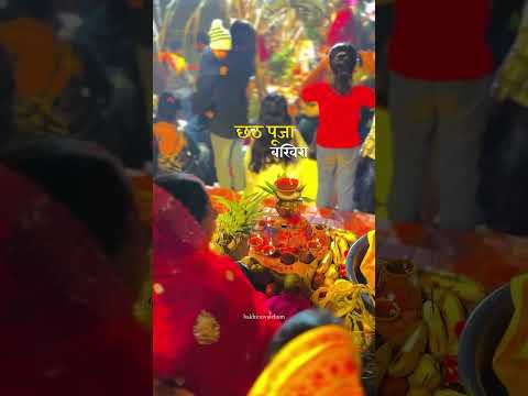 Https Www Instagram Com Reel DPrSh0vAmg2 Igsh D2JtOHozMmtrbDVz 