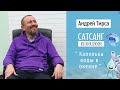 Андрей Тирса • Сатсанг 12 марта 2021 • Москва