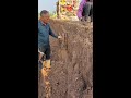 Traditional Hand-Dug Chinese Yam