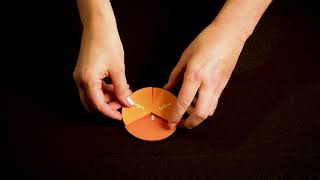 Teaching Fractions Using Manipulatives