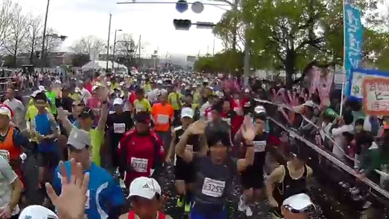 さが桜マラソン2015 YouTube さが桜マラソン2015 YouTube