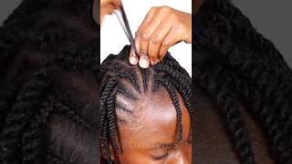 Mini twists hairstyle 4chair naturalhair 4chairstyles minitwists
