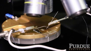 Electronic Sensor for Bacteria Detection